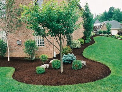 beautiful-landscaping